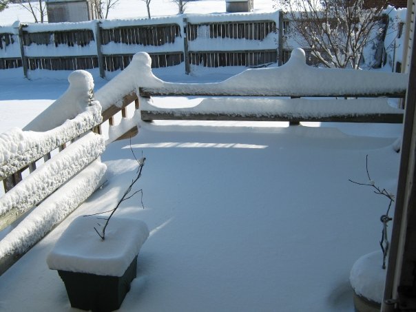 Janet Andrews' album, Snow March 1, 2009