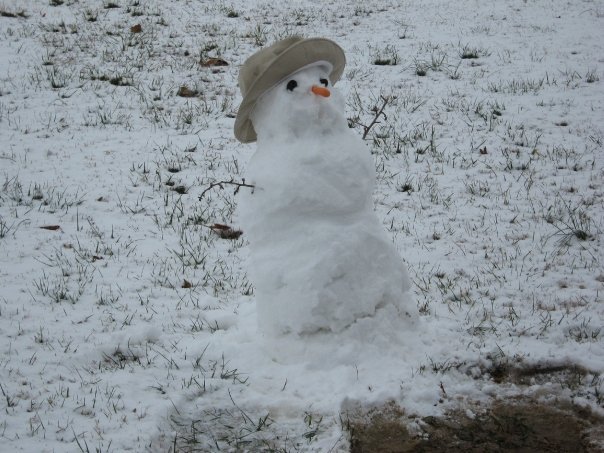 Janet Andrews' album, Janet's Snow Pictures