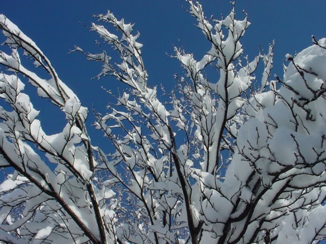 Jerry Engstrom's album, Timeline Photos
