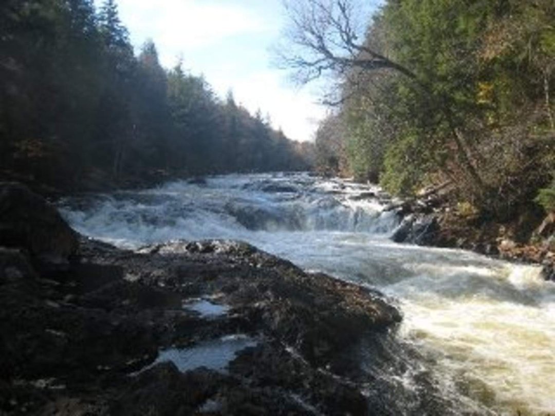 Robin Ellison's album, Raquette river trip