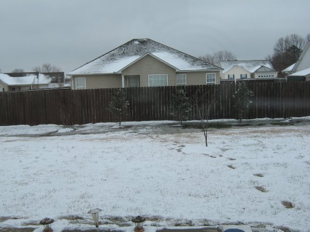 Janet Andrews' album, Janet's Snow Pictures