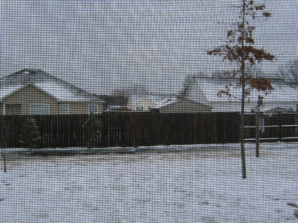Janet Andrews' album, Janet's Snow Pictures