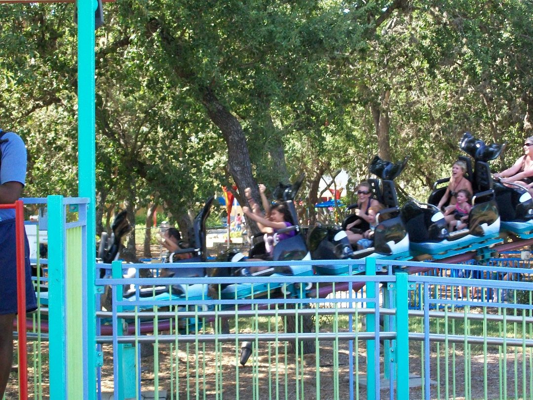 Debra Vaello's album, Seaworld Summer 2012