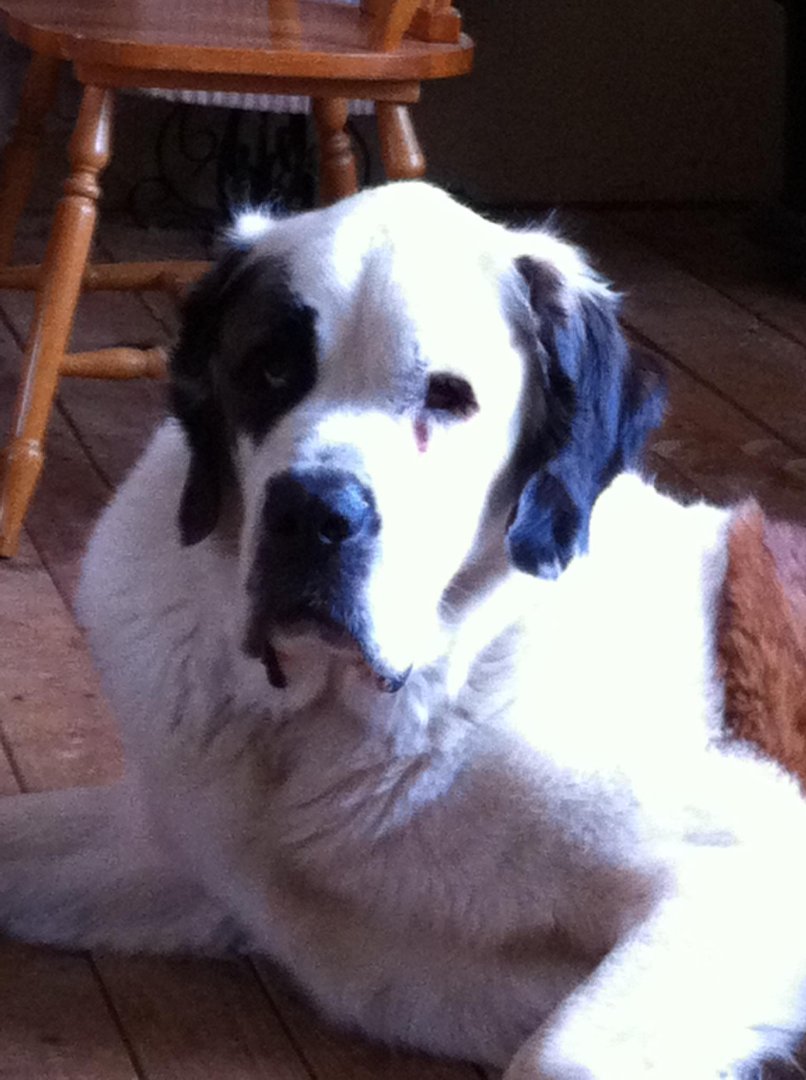 Patrick Roy's album, Betsy