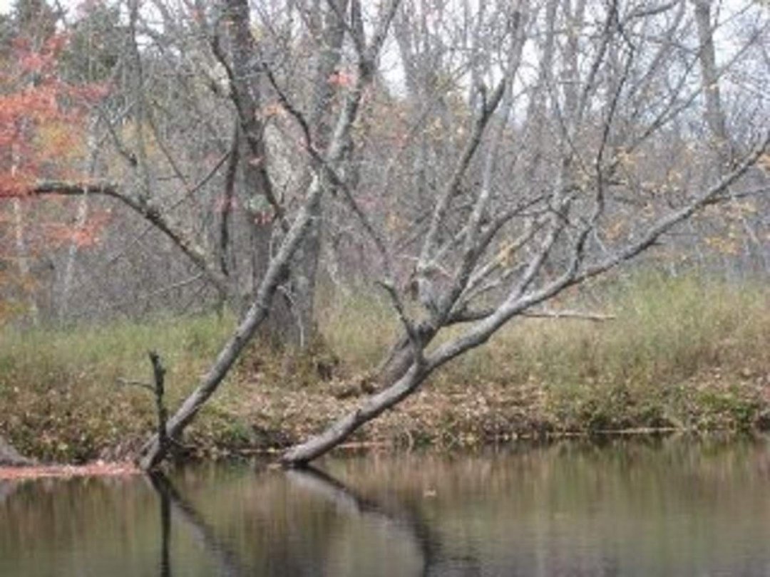Robin Ellison's album, Raquette river trip