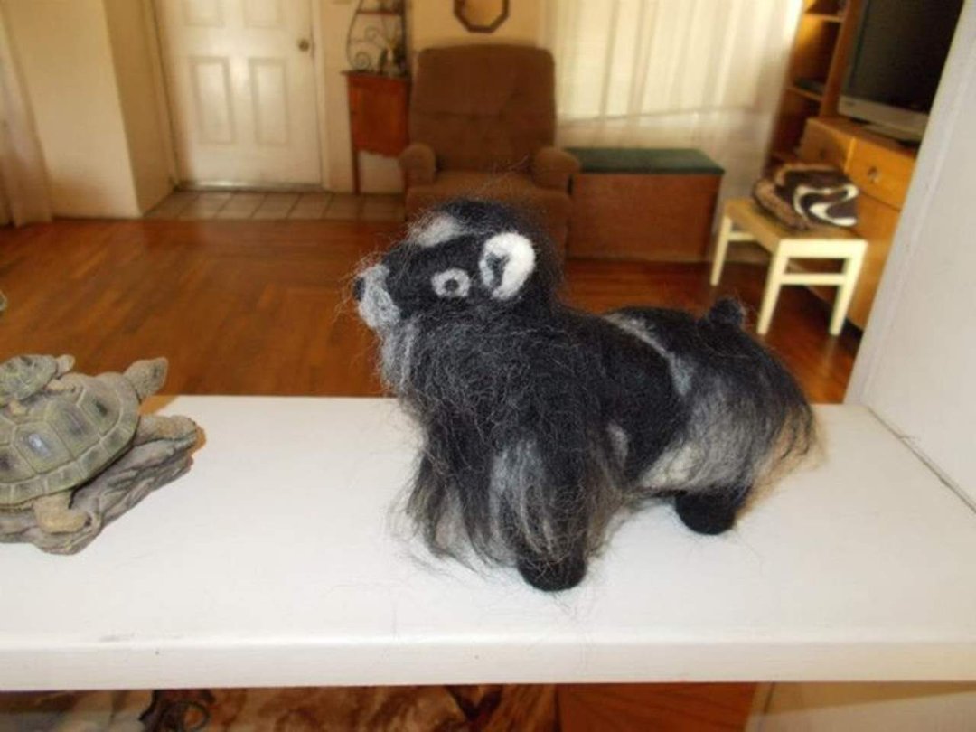 Lynn Sullivan's album, Wool Pygmy Goat