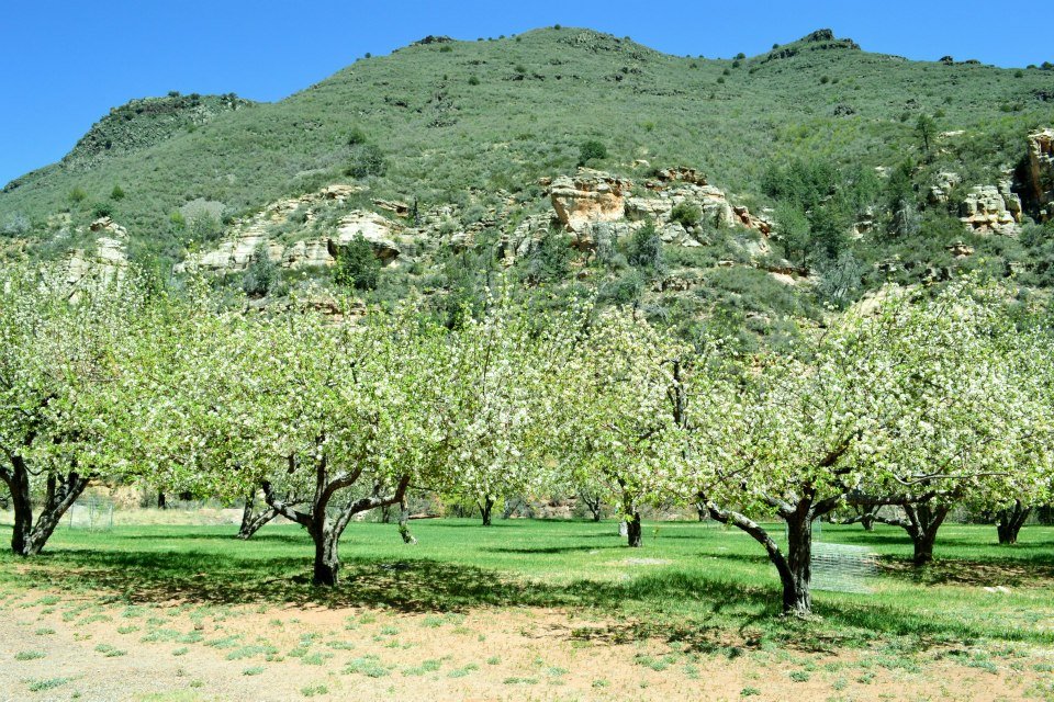Kim Bernhardt's album, AZ 2013