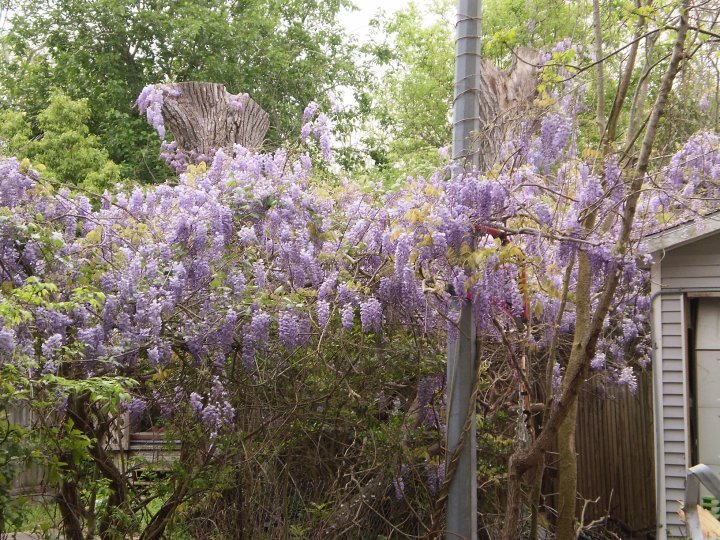 Stan Williams' album, Timeline Photos