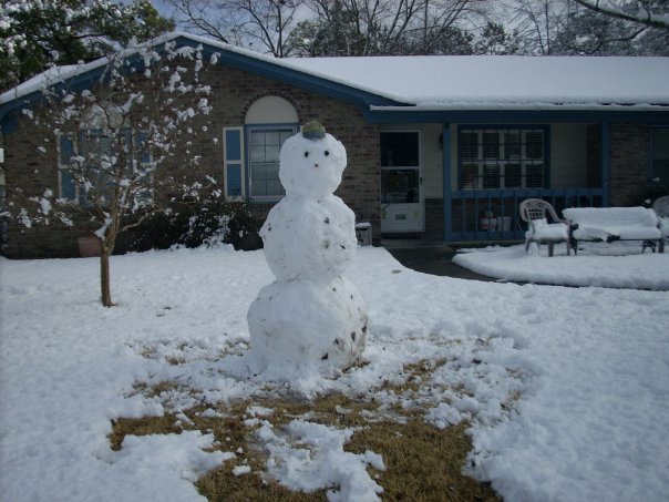 Donald Austin's album, Feb 2010 Snow