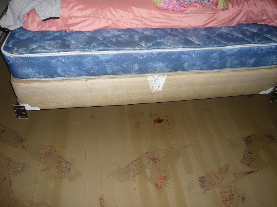 Barbara Evans' album, Athens Flood House Photos