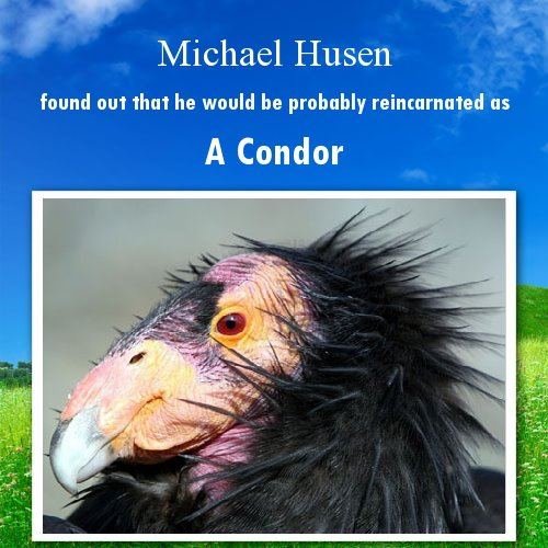 Michael Husen's album, Cover Photos