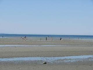 Carmen Marvici's album, Our trip to Vancouver Island