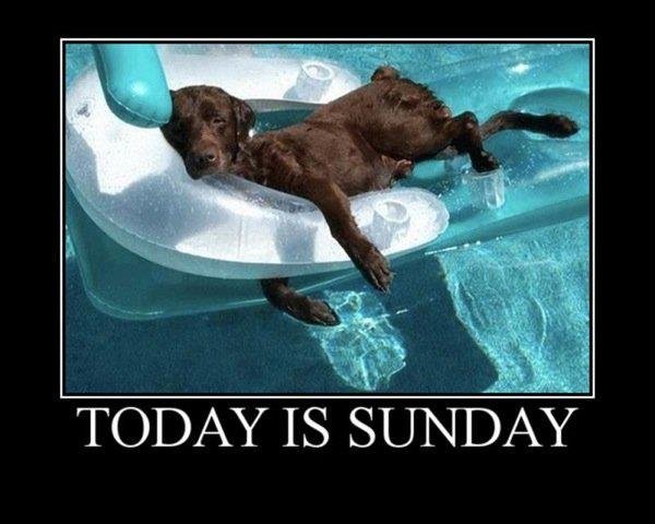 Steven Smith's album, Timeline Photos
