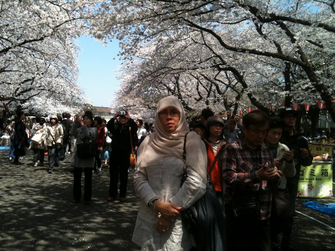 Robiah Adnan's album, Mobile Uploads