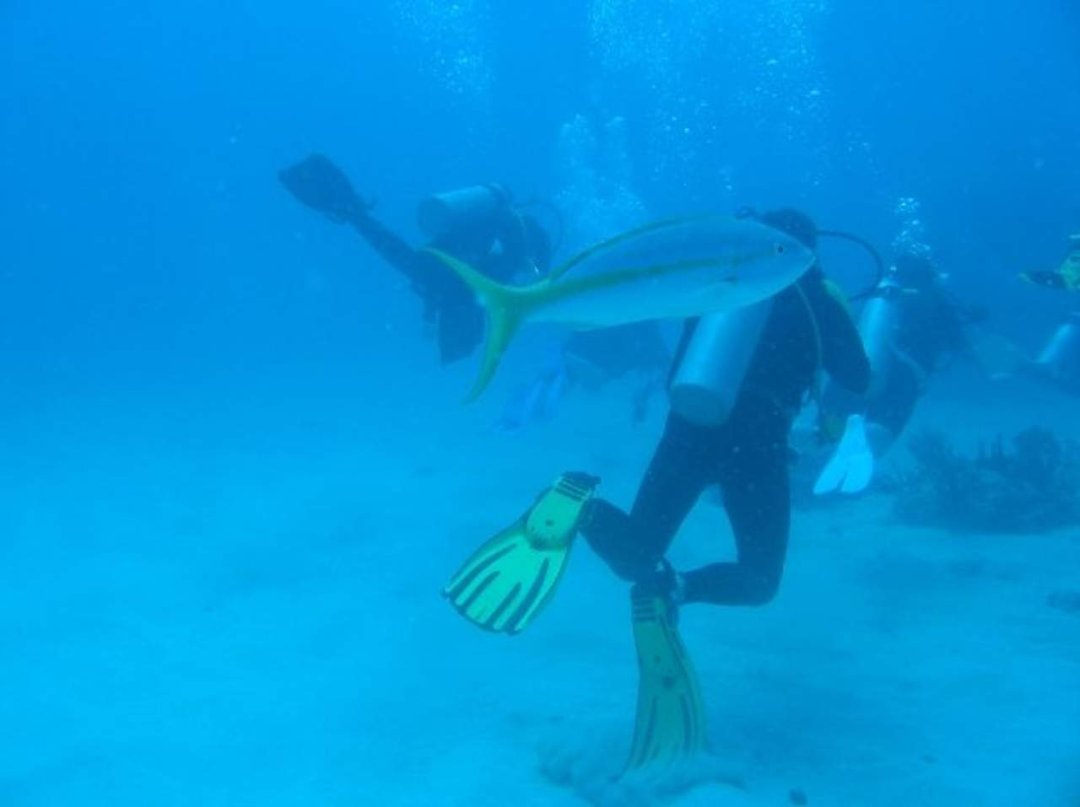 Steven Clem's album, St Maarten Diving