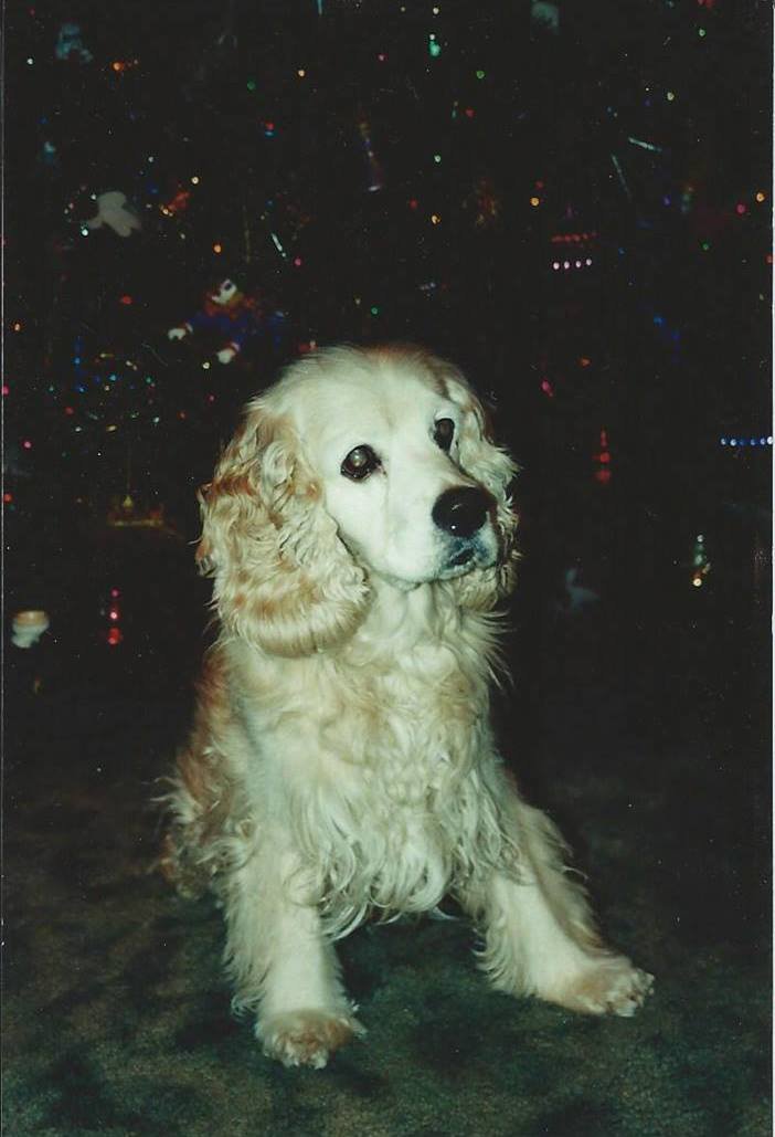 Joy Jones' album, Profile Pictures