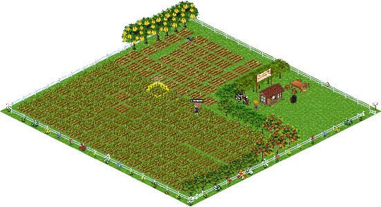 Kathy Graham's album, Farm Town Photos