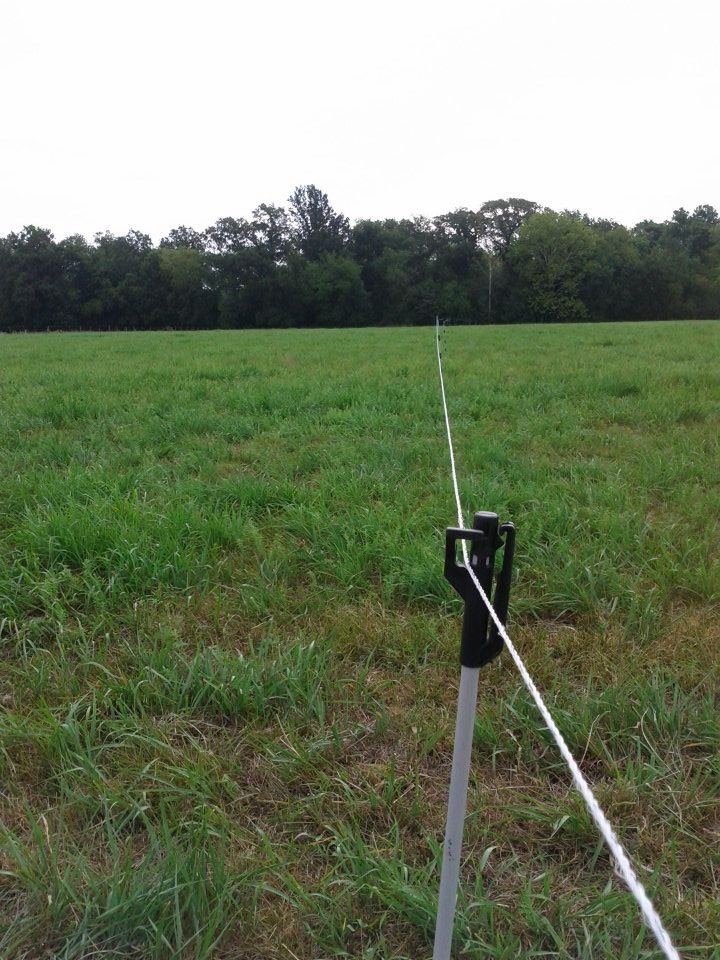 Larry Shead's album, Putting up Electric fence
