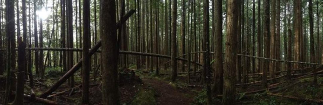 Scott Nicholson's album, Cover Photos