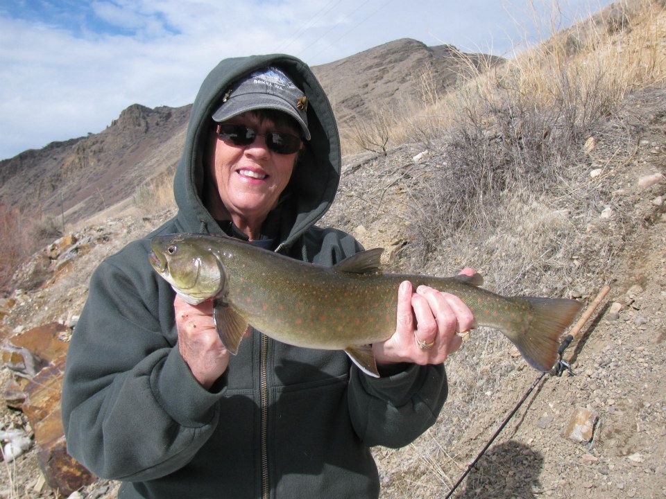 Max Heberling's album, The biggest steelhead yet this Spring!