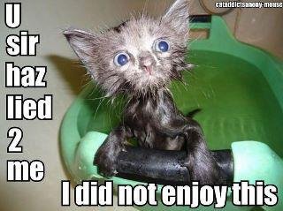 Molly Baker's album, Timeline Photos
