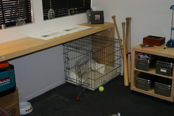Dan Arriola's album, dan's pics