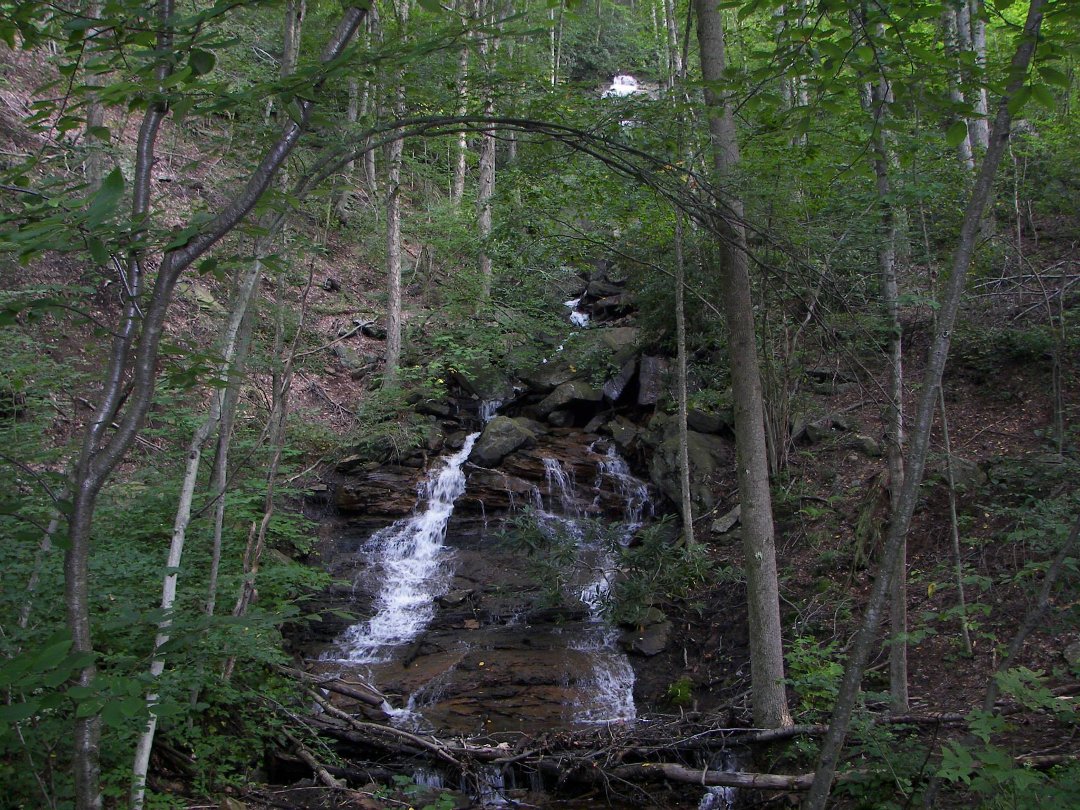 Carl Michael Moss' album, Douglas Falls/Blackwater Falls