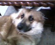 Michael Babbe's album, Mobile Uploads