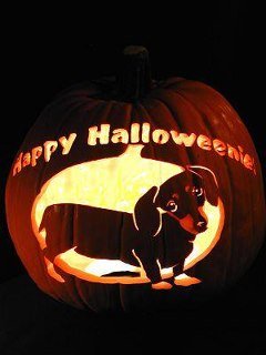 Connie Davidson's album, Timeline Photos