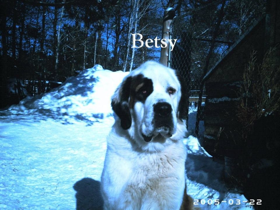 Patrick Roy's album, Betsy