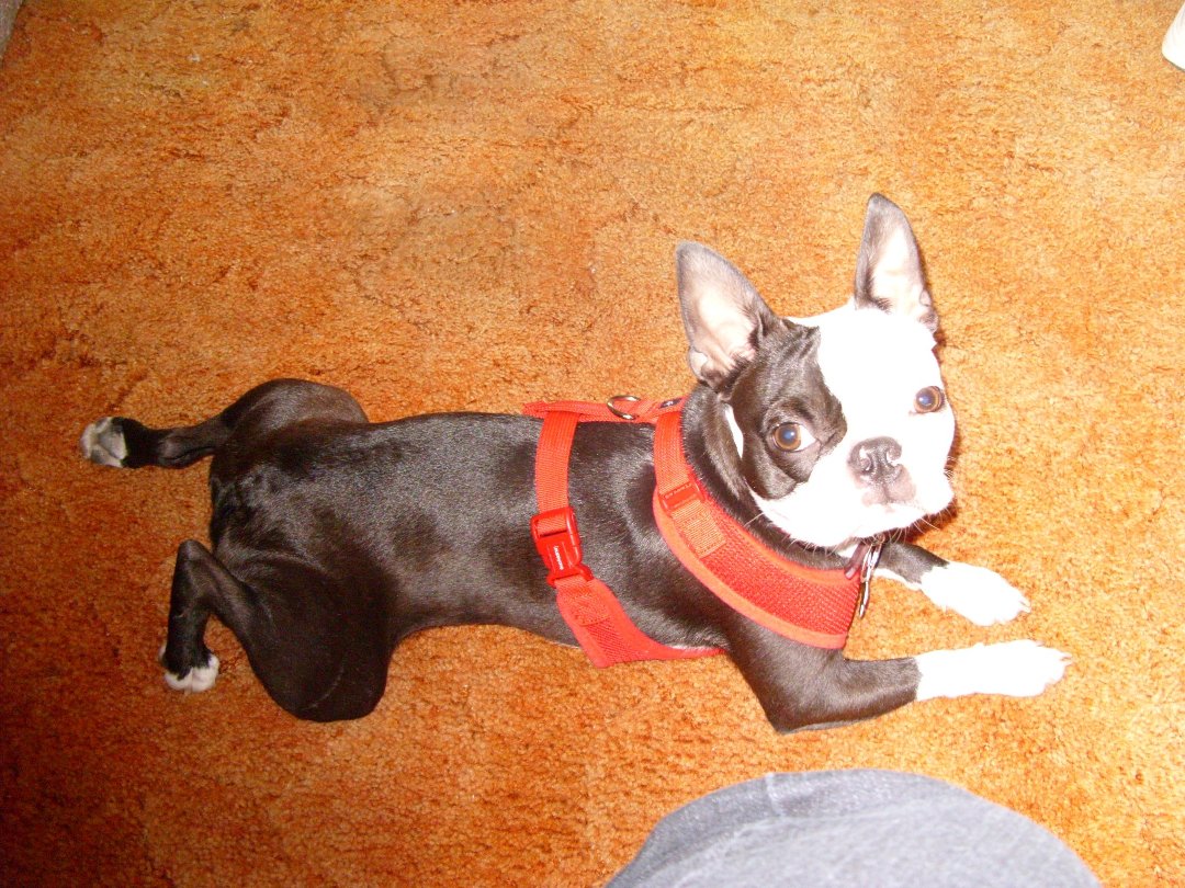 Sandy (Miller) Severson's album, Profile Pictures