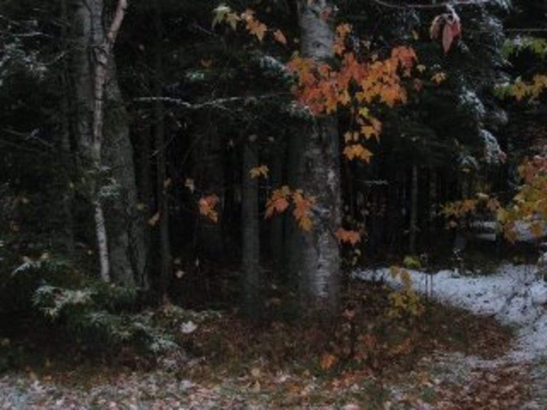 Robin Ellison's album, Raquette river trip