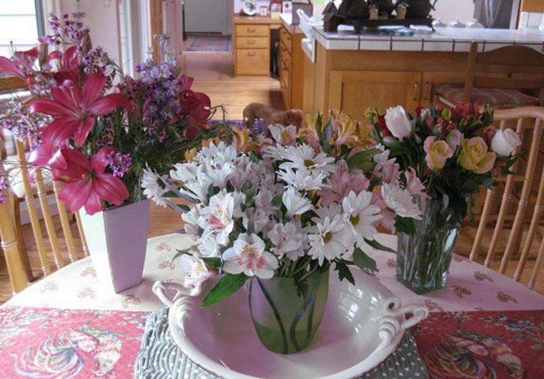 Susan Maxon's album, Timeline Photos