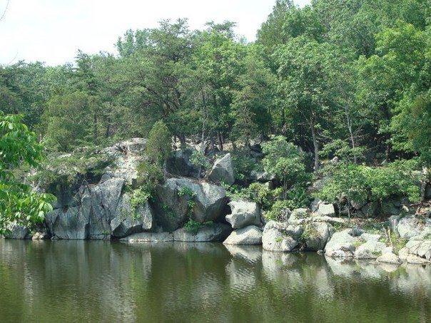 Larry Cooper's album, Jun 28, 2010