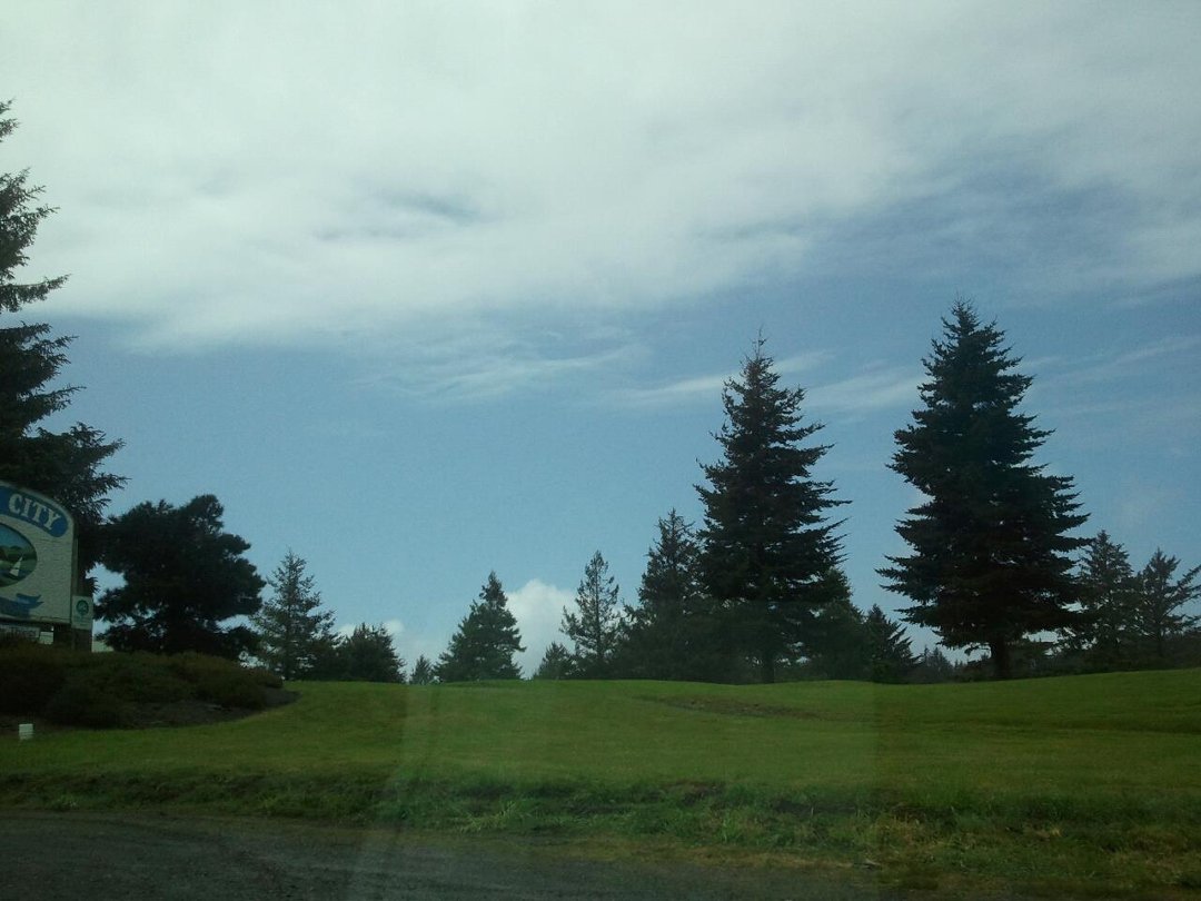 Nancy Tilton's album, Mobile Uploads
