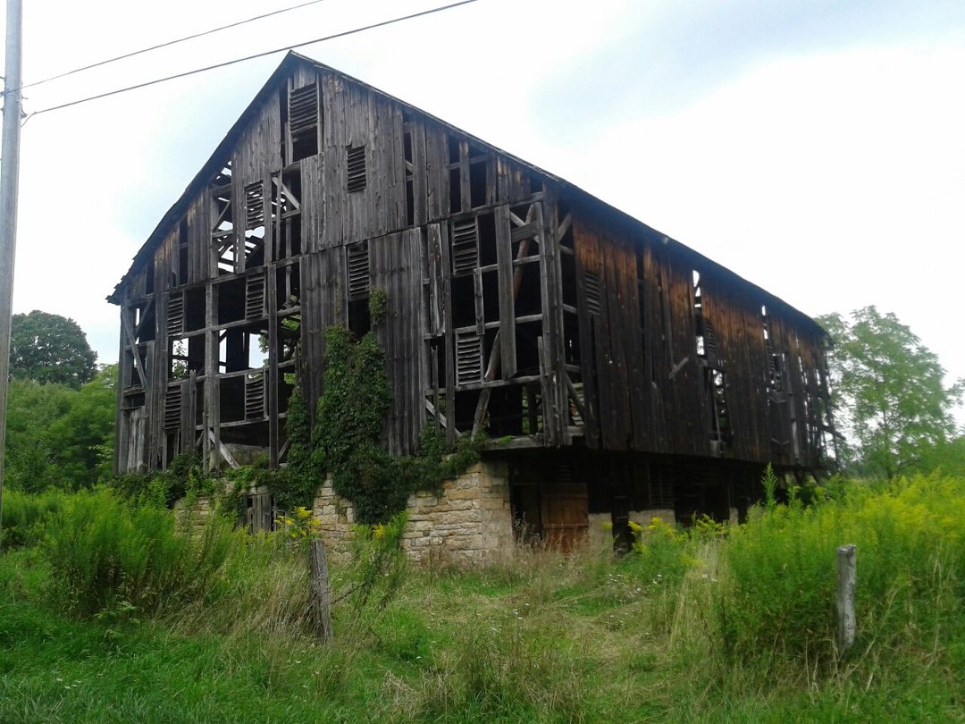 Willis Linn's album, Mobile Uploads