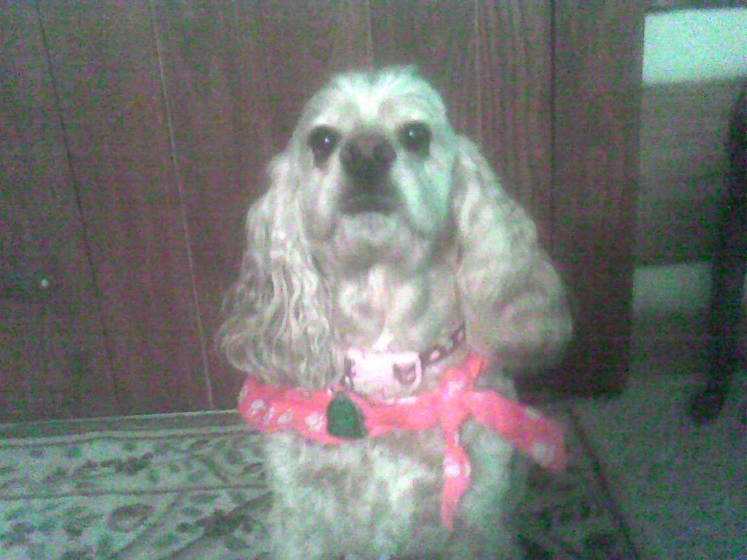 Kathy Wertz's album, Mobile Uploads