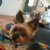 Robert Adams' album, Timeline Photos