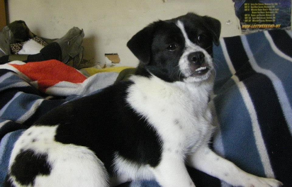 Mark Beckwith's album, Holly - my new baby girl
