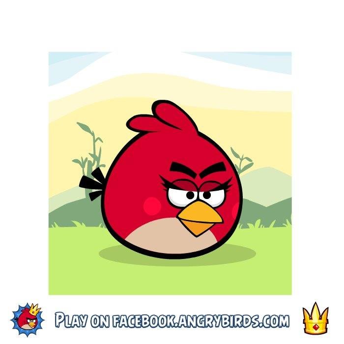 sandi shrieves' album, Angry Birds Photos