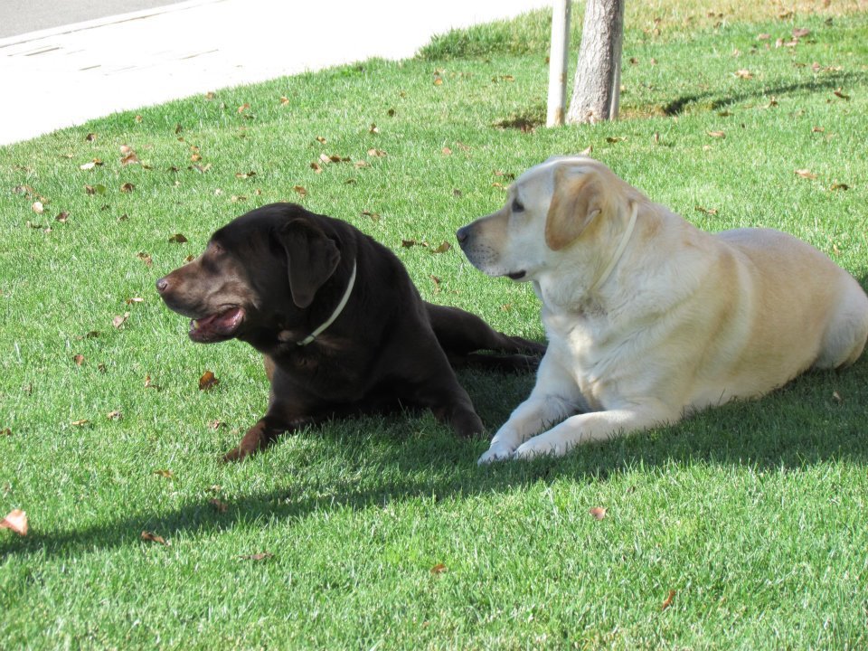 Cindy Jett's album, October 30, 2011
