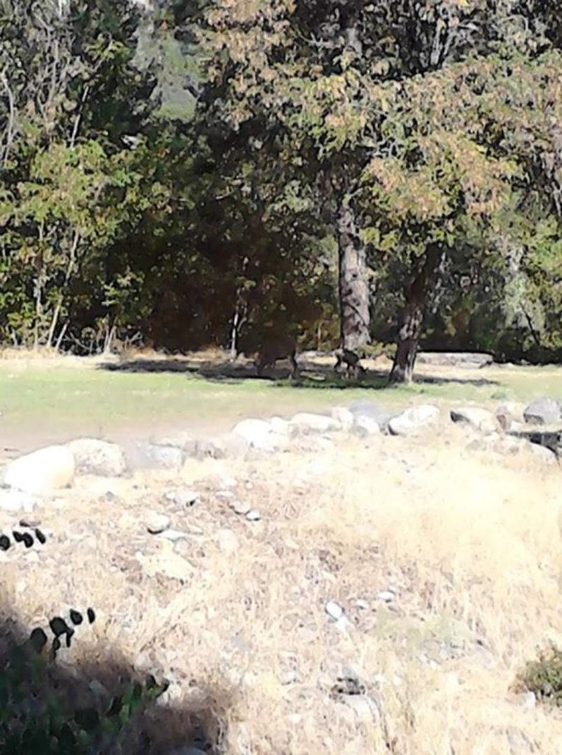 Scott Akers' album, Trip to Placerville, California