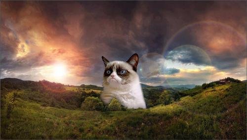 Heather Jacques' album, Cover Photos