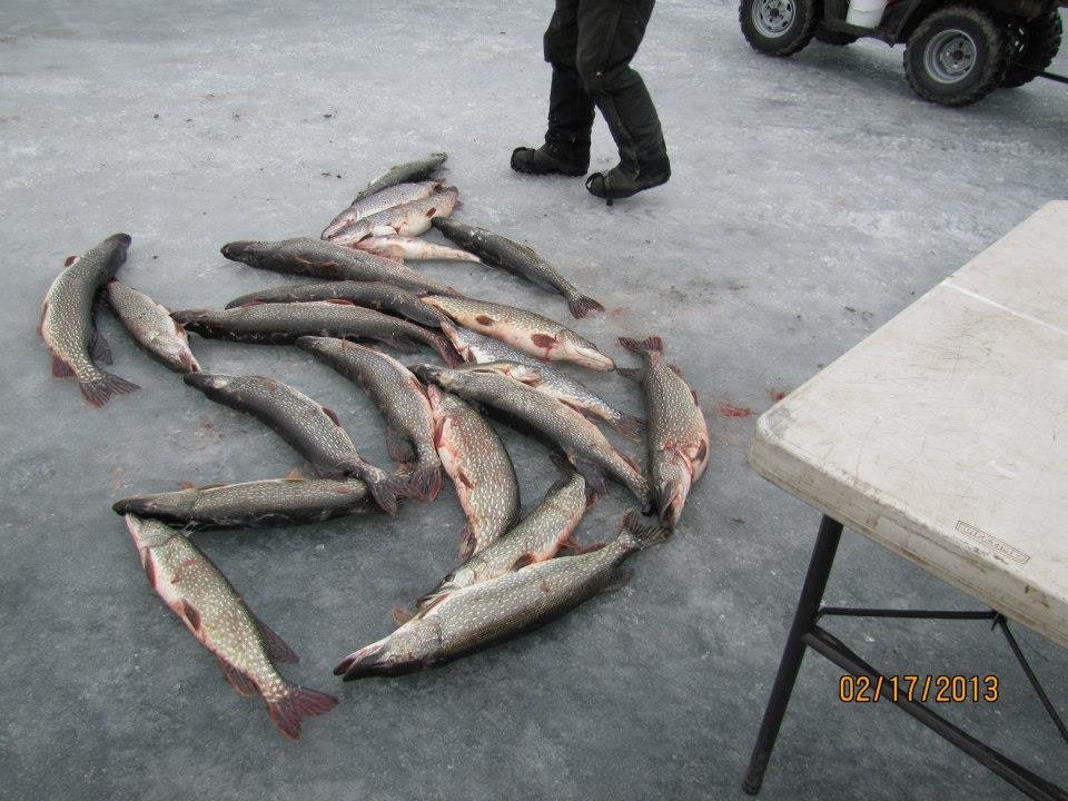 Dan Neff's album, Ice Fishing 2013