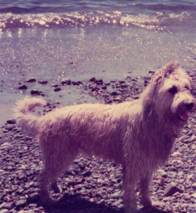 Robert Mallardo's album, Spike