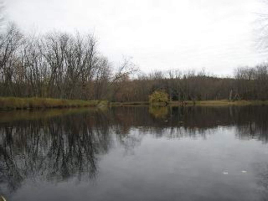 Robin Ellison's album, Raquette river trip