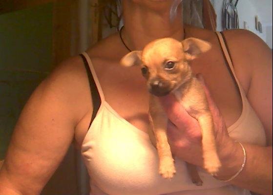 cheryl workman's album, Profile Pictures