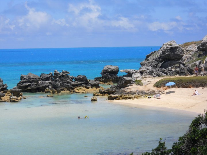Tracy Robertson's album, Bermuda 2011