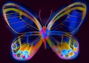 Stuart Wallace's album, Visionary Art Photos