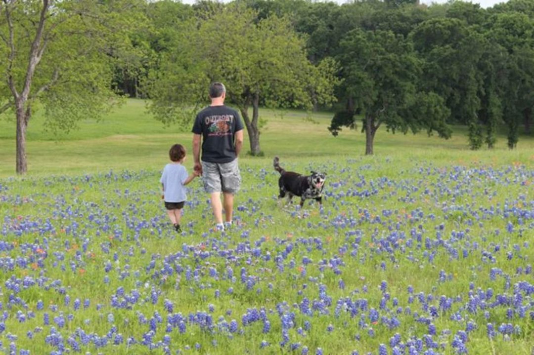 Michelle Virgin's album, Bluebonnets 2013